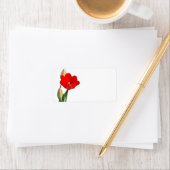 Tulip Label Adressaufkleber (Insitu)