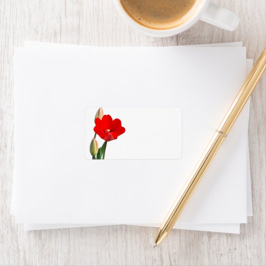 Tulip Label Adressaufkleber (Insitu)