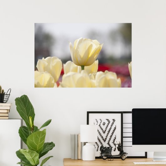 Tulip Leinwand Poster (Heimbüro)