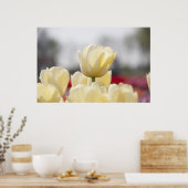 Tulip Leinwand Poster (Küche)