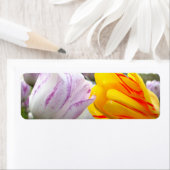 Tulip Liebe (Insitu)