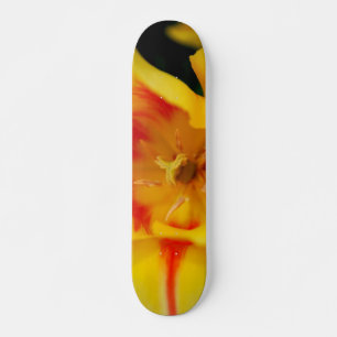 tulip macro skateboard