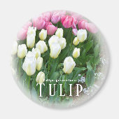 Tulip Magnet (Vorne)