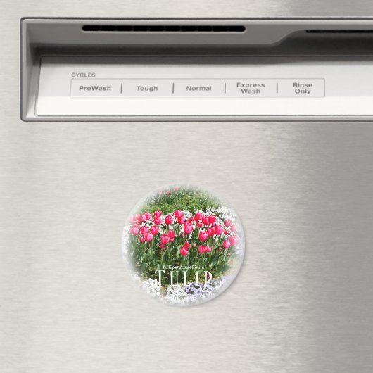 Tulip Magnet (In Situ (Geschirrspüler))