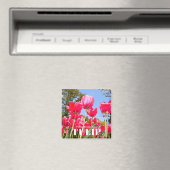 Tulip Magnet (In Situ (Geschirrspüler))