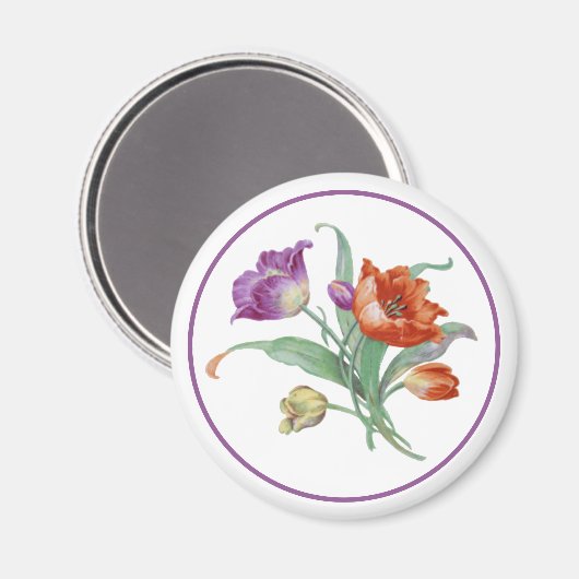 Tulip Magnet (Vorderseite/Rückseite)