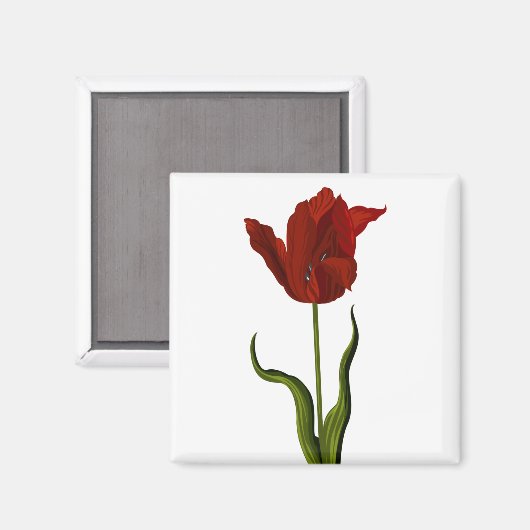 Tulip Magnet (Vorderseite/Rückseite)