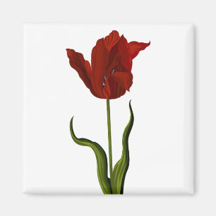 Tulip Magnet