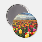 Tulip Magnet (Vorderseite/Rückseite)