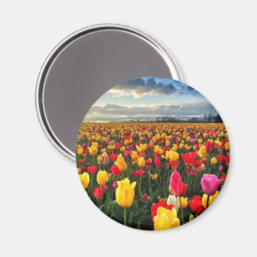 Tulip Magnet (Vorderseite/Rückseite)