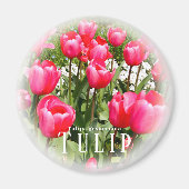 Tulip Magnet (Vorne)
