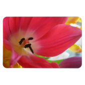 Tulip Magnet (Horizontal)
