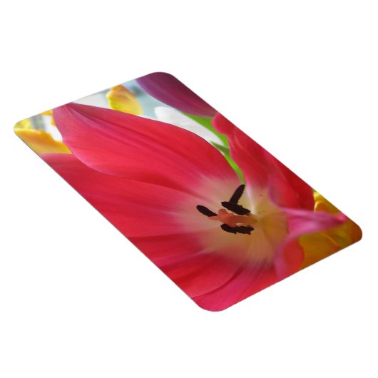 Tulip Magnet (Rechte Seite)