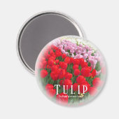 Tulip Magnet (Vorderseite/Rückseite)