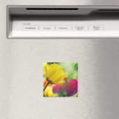 Tulip-Magnet Magnet (In Situ (Geschirrspüler))