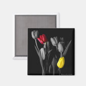 Tulip-Magnet Magnet (Vorderseite/Rückseite)