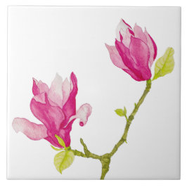 Tulip Magnolias auf einer Keramik (1) Fliese