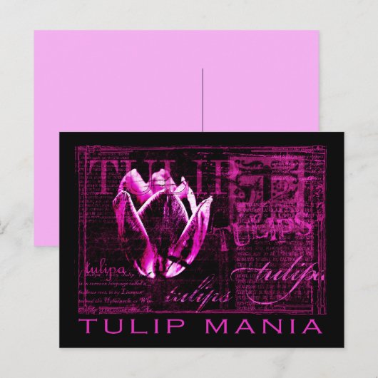 Tulip Mania Postkarte (Vorne/Hinten)