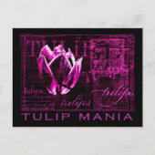 Tulip Mania Postkarte (Vorderseite)