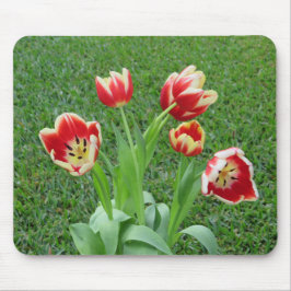 Tulip-Mauspad Mousepad