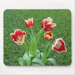 Tulip-Mauspad Mousepad