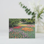 TULIP MEADOW POSTKARTE (Stehend Vorderseite)