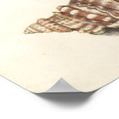 Tulip mit Muscheln Botanische Illustration Poster (Ecke)