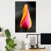 Tulip mit Wassertröpfchen 2 Poster (Heimbüro)