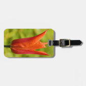 Tulip mit Wassertropfen 1 Gepäckanhänger (Vorderseite horizontal)