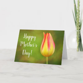 Tulip Mother's Day Scripture Card Karte