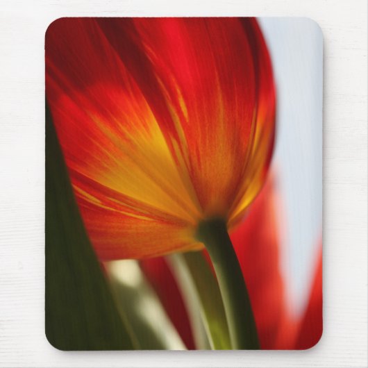 Tulip Mousepad (Vorne)