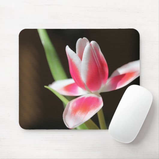 Tulip Mousepad (Mit Mouse)