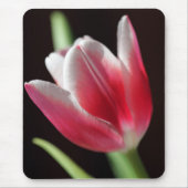 Tulip Mousepad (Vorne)