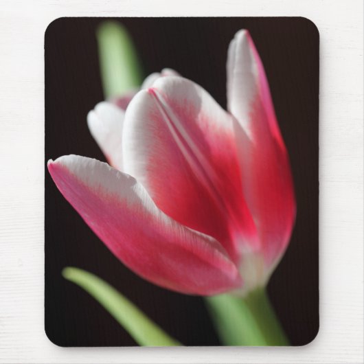 Tulip Mousepad (Vorne)