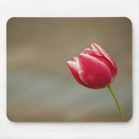 Tulip Mousepad (Vorne)