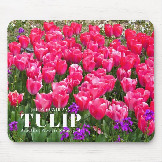 Tulip Mousepad (Vorne)