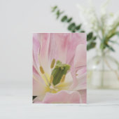 Tulip nah-up, Keukenhof Gardens, Lisse, Postkarte (Stehend Vorderseite)