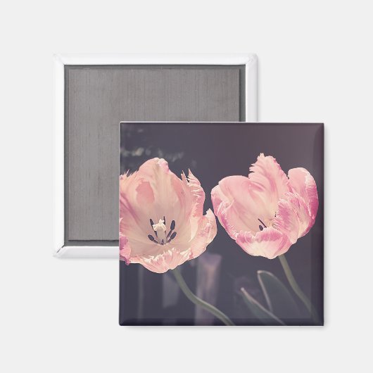 Tulip Nature Foto Magnet (Vorderseite/Rückseite)