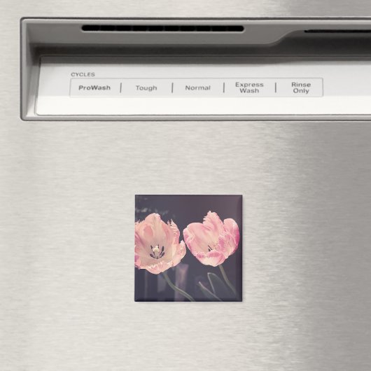 Tulip Nature Foto Magnet (In Situ (Geschirrspüler))
