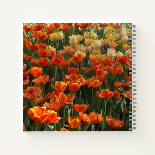 Tulip-Notebook Notizblock (Rückseite)