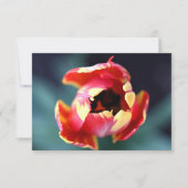 Tulip Notecard Mitteilungskarte (Vorderseite)