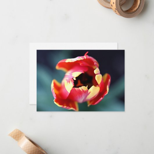 Tulip Notecard Mitteilungskarte (Vorderseite/Rückseite Beispiel)