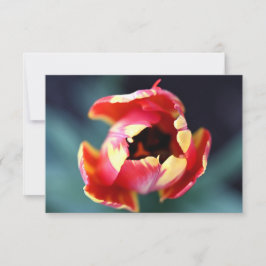 Tulip Notecard Mitteilungskarte
