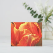 Tulip on Fire Postkarte (Stehend Vorderseite)