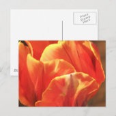 Tulip on Fire Postkarte (Vorne/Hinten)
