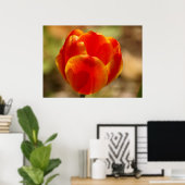 Tulip Orange Poster (Heimbüro)