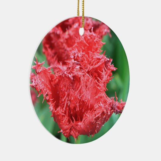 Tulip Ornament (Rechts)