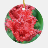 Tulip Ornament (Vorne)