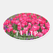 Tulip Ovaler Aufkleber (Vorderseite)