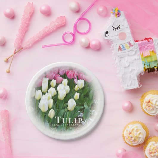 Tulip Pappteller (Party)